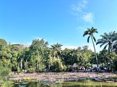 -西双版纳傣族园