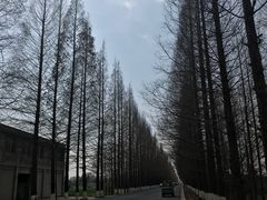 -水月·和牛工坊(水晶郦城店)