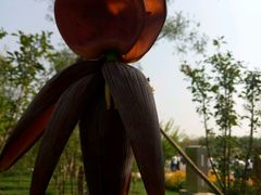 -武清南湖绿博园