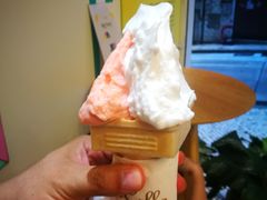 -柠檬车露(卖草地店)