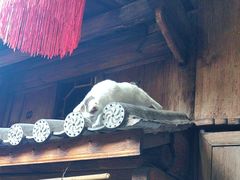 -龙姐私房菜(和顺古镇店)