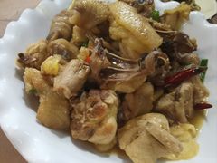 -遇龙河大樟树农家乐