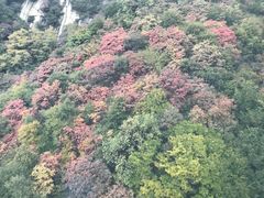 -少华山国家森林公园