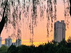 -咸阳湖景区