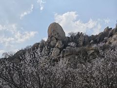 -北京凤凰岭