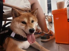 -松松咖啡