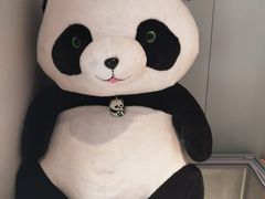 -眉州东坡(望京店)