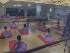 -炫艺舞蹈培训中心(枫尚奥特莱斯店)