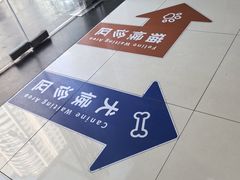 -申普宠物医院·心脏介入·心血管微创(总院)