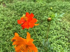 -白塘生态植物园