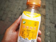 -德禄酸奶(莫家街店)