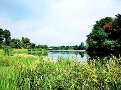 -白鹭湾湿地公园