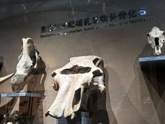 -大庆市博物馆