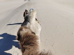 -库伦旗银沙湾旅游景区