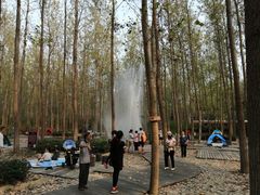 -合肥滨湖国家森林公园