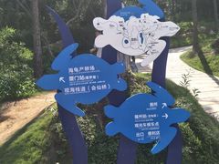 -广东惠东海龟国家级自然保护区