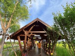 -永定河休闲森林公园