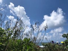 -鹅銮鼻公园