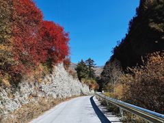 -叠溪松坪沟景区