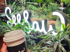 -Seesaw Coffee(朝阳大悦城店)