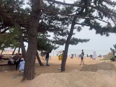 -老虎石海上公园