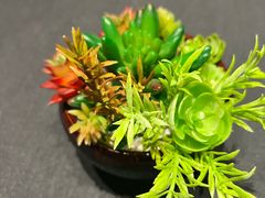 -肆月河豚·淮扬菜·湘菜(华天店)