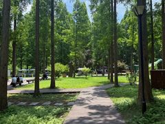 -黄海国家森林公园