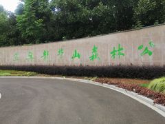 -宜兴龙背山森林公园