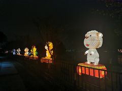 -桐乡凤凰湖