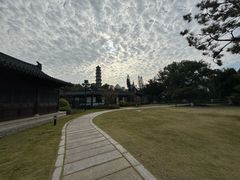 -江心屿景区
