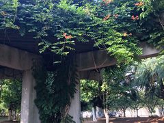 -白塘生态植物园