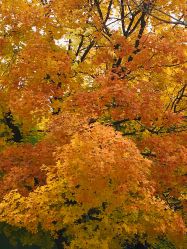 -大望京儿童游乐场