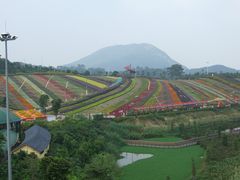 -东部华侨城