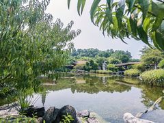 -顺峰山公园