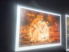 -罗红摄影艺术馆