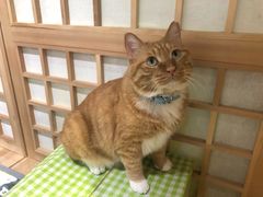 -小时光咖啡馆(开森度假森林店)