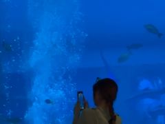 -亚特兰蒂斯•OSSIANO奥西亚诺海底餐厅