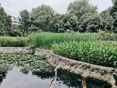 -成都市活水公园