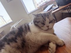 -小时光咖啡馆(开森度假森林店)