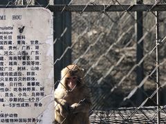 -北宫国家森林公园