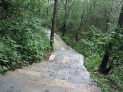 -野三坡百草畔景区