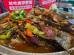 -鸽子窝(黄村店)
