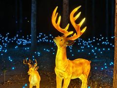 -鄂尔多斯野生动物园