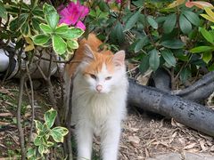 -复旦大学附属华山医院(总院)