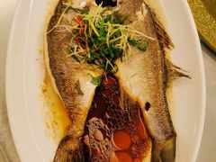 -御同亨酒楼·喜宴