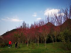 -贵阳市花溪国家城市湿地公园