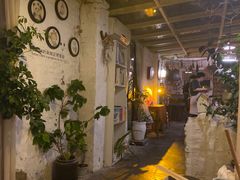 -西西这里民谣酒馆