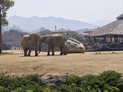 -杭州野生动物世界