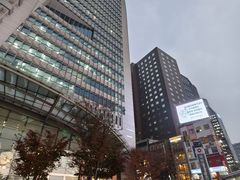 -新世界百货(明洞总店)