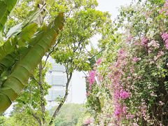 -深圳国际园林花卉博览园